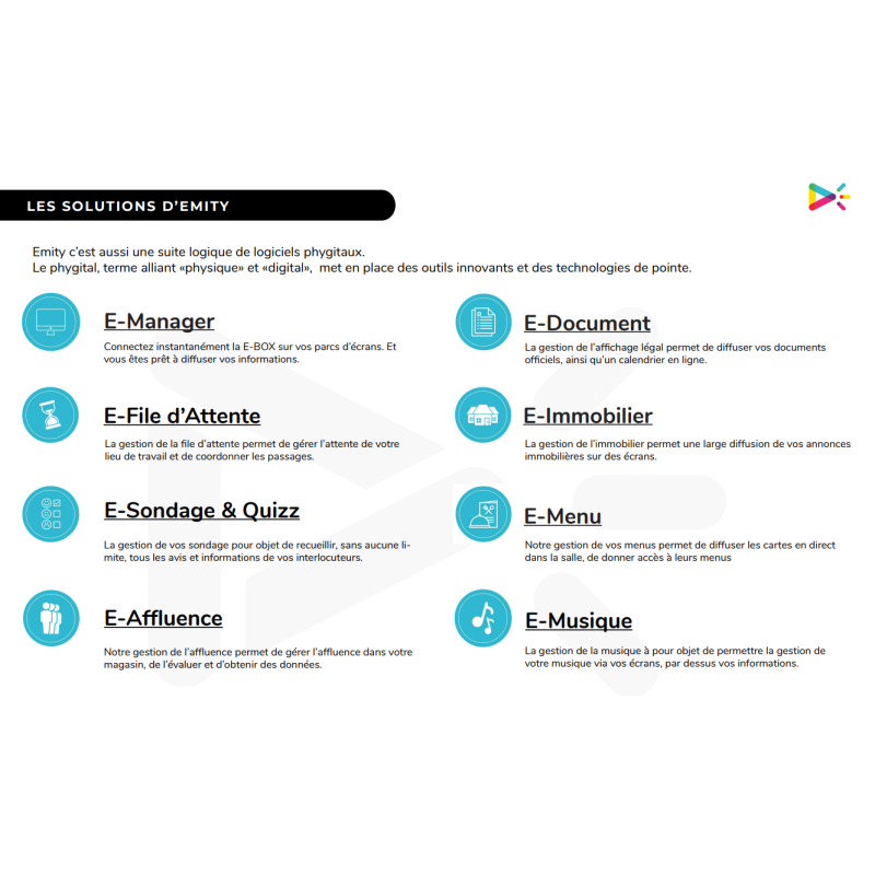 EMITY Abonnement Premium 3 ans E-Manager - FORM0010-3Y