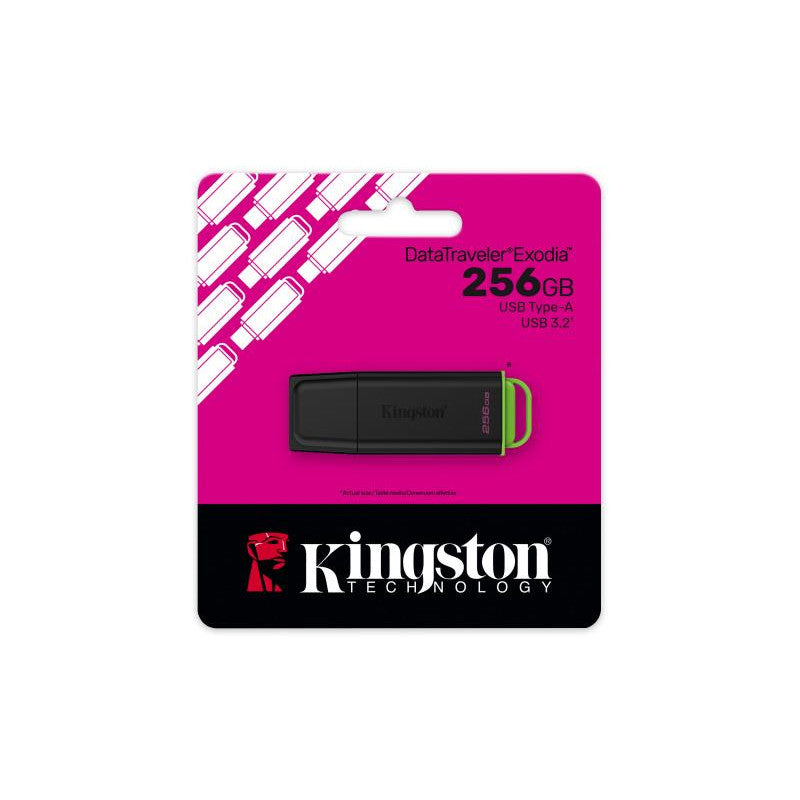 Kingston Technology DataTraveler 256Go Stockage portable USB 3.2 Gen 1 Exodia Noir + Vert