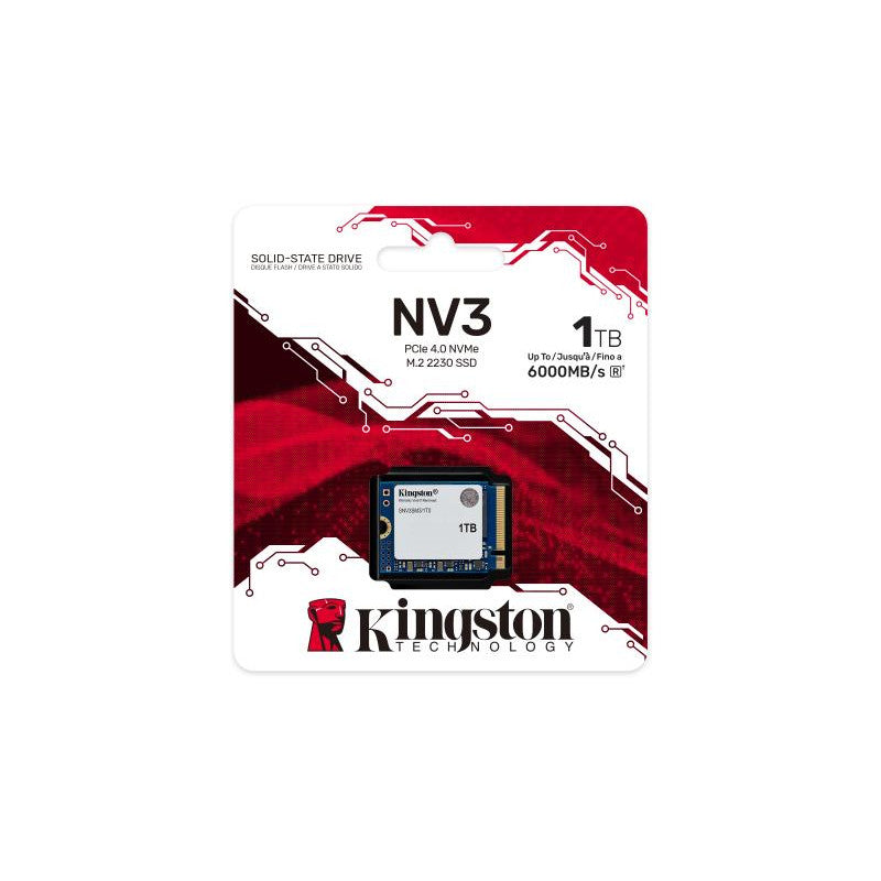 KINGSTON SNV3SM3/1T0