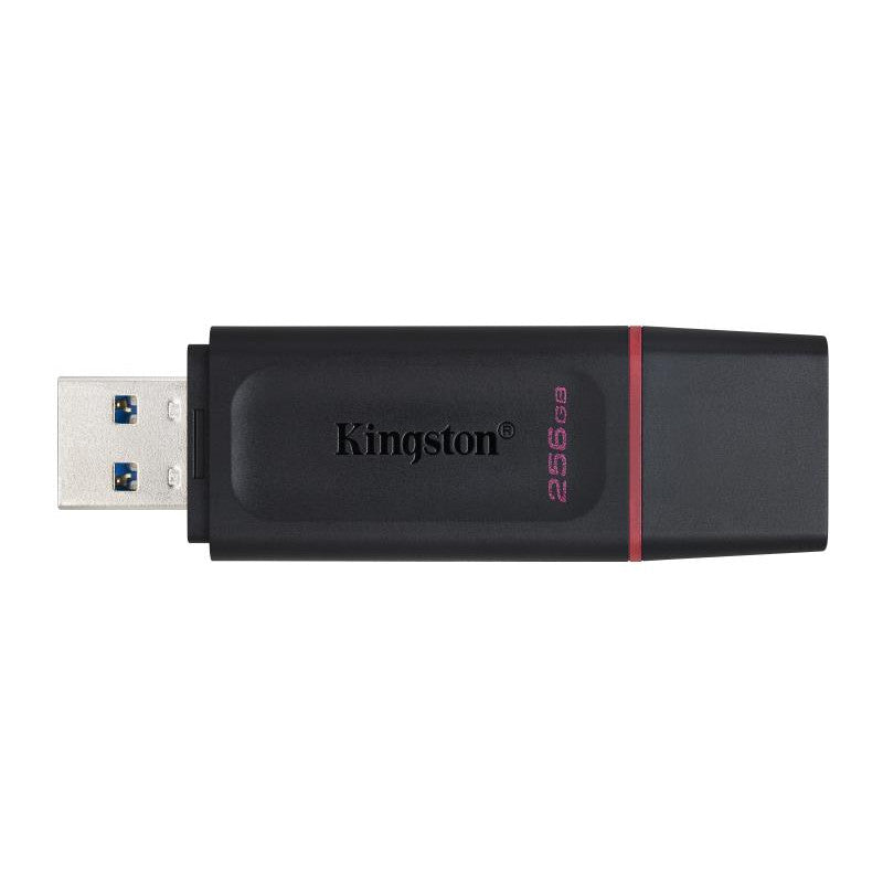KINGSTON 256G USB 3.2 Gen 1 *DTX/256GB